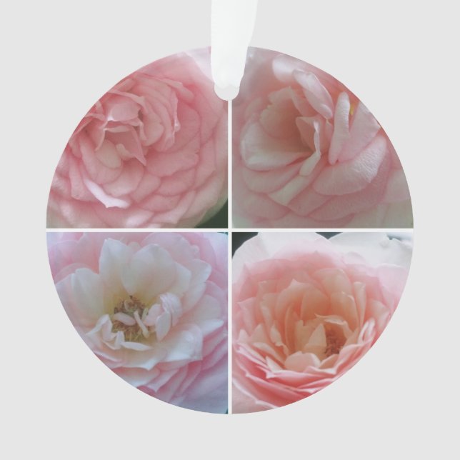 Ornamento Rosas bonito (Frente)