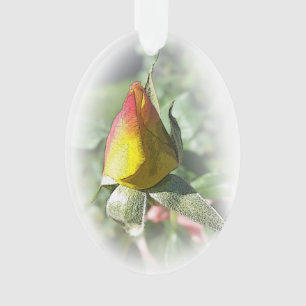 Ornamento rosebusto rosa amarelo