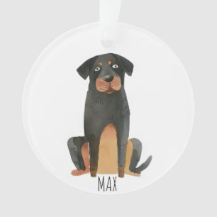 Ornamento Rottweiler