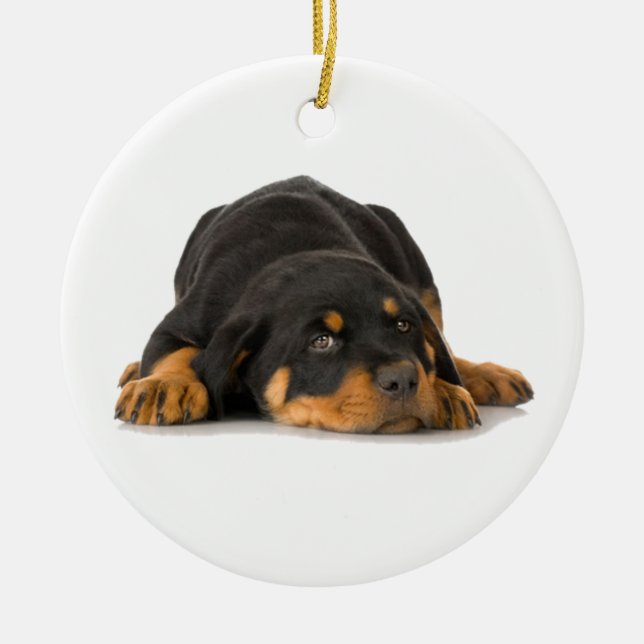 Ornamento Rottweiler (Frente)