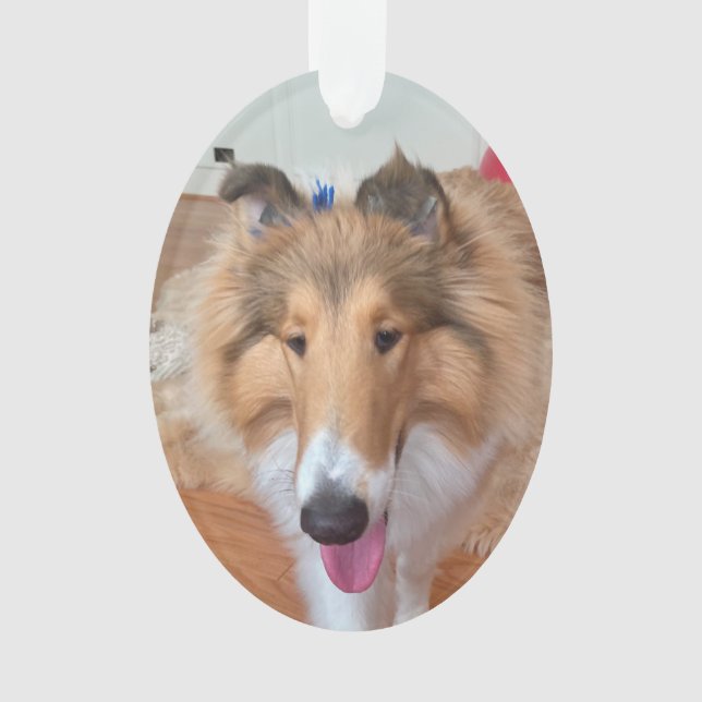Ornamento Rough Collie Dog (Frente)