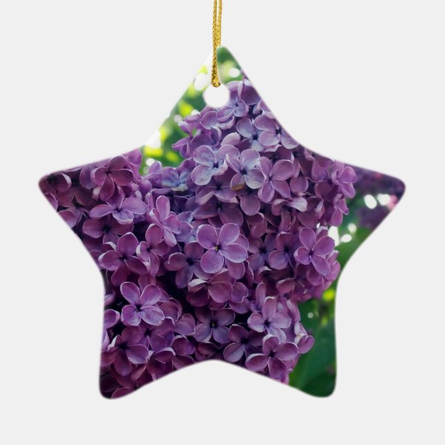 Ornamento roxo dos Lilacs (Frente)