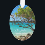 Ornamento Rua, John Cinnamon Bay Beach Oval Ornament<br><div class="desc">Linda Rua, Ilha John, ornamento oval de Cinnamon Bay Beach! Este adorável ornamento tropical de dois lados apresenta uma vista espantosa de Ruas. A popular praia Cinnamon Bay de John USVI! Este ornamento vem em diferentes formas também! É uma maravilhosa adição à sua coleção de ornamentos, e um presente de...</div>