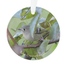 Ruby-crowned Kinglet Bird Ornament with Place Year