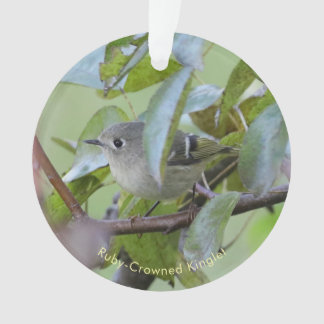 Ornamento Ruby-crowned Kinglet Bird Ornament with Place Year