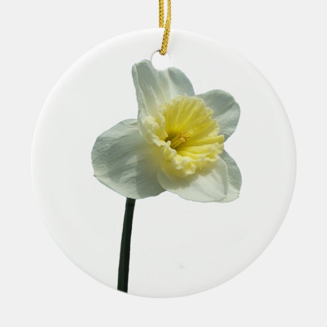 Ornamento Ruffled do ~ do Daffodil (Frente)