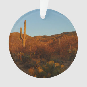 Ornamento Saguaro Sunset I Arizona Desert Landscape