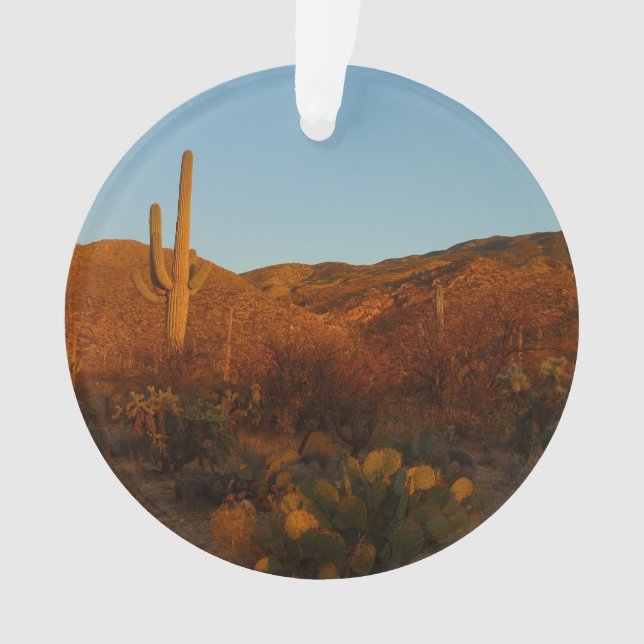 Ornamento Saguaro Sunset I Arizona Desert Landscape (Frente)
