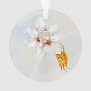 Ornamento Sakura - cereja japonesa floresce