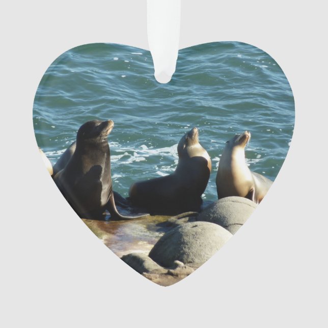 Ornamento San Diego Sea Lions (Frente)