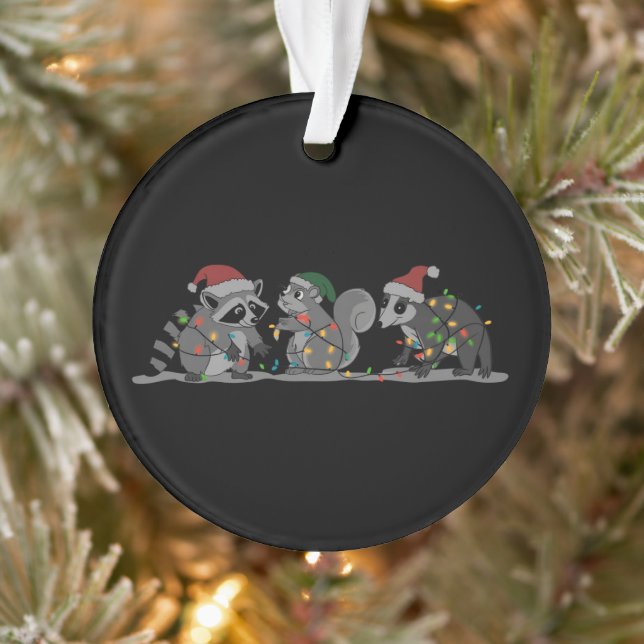 Ornamento Santa Animals Xmas Silly Racoon Opossum Squirrel (Árvore)