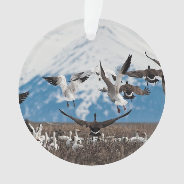 Ornamento Scattering Geese (Frente)