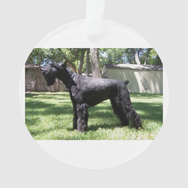 Ornamento Schnauzer gigante full.png (Frente)