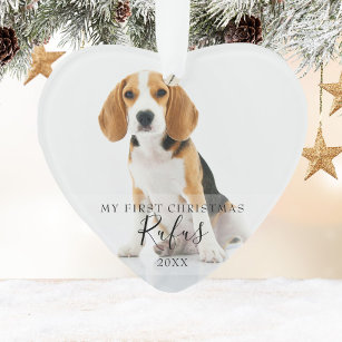 Ornamento Script Pet Dog First Christmas Photo