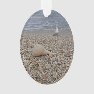 Ornamento Seashells e gaivota de mar