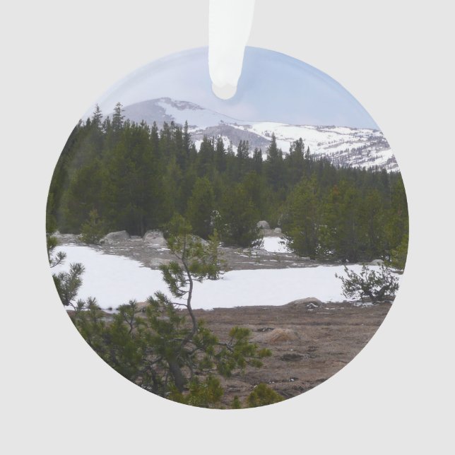 Ornamento Serra Nevada e neve em Yosemite (Frente)