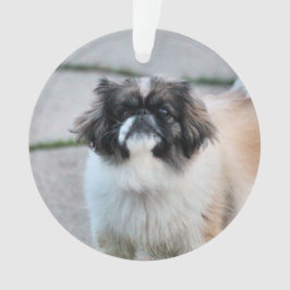 Ornamento Shih Tzu