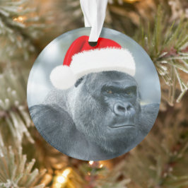Ornamento Silverback como o Agrupamento de Natal