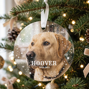 Ornamento Simples Moderno Em Memória De Pet Personalizado