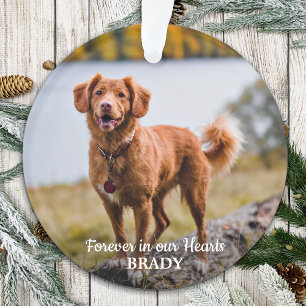 Ornamento Simples Personalizado 2 Foto Simpatia Pet Memorial
