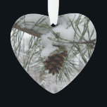 Ornamento Snowy Pine Branch Winter Nature Fotografia<br><div class="desc">Aqui está uma excelente de neve para o inverno ou o Natal - uma foto de um galho de pinho com um pinho carregado de neve. Veja na nossa loja mais fotos da árvore nevada. Esta imagem também é apresentada como o papel de parede widescreen "Snowy Pine Branch", em www.mlewallpapers.com....</div>