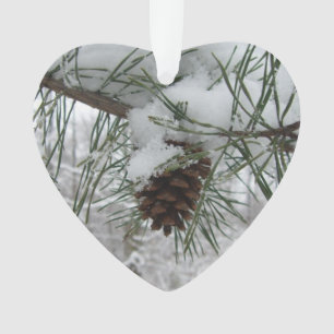 Ornamento Snowy Pine Branch Winter Nature Fotografia