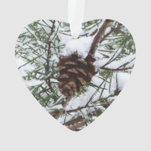 Ornamento Snowy Pine Cone II Fotografia de inverno
