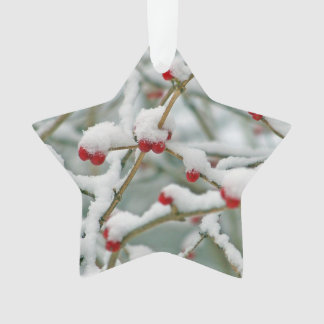 Ornamento Snowy Red Berries - Estrela da Cena de Inverno