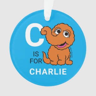 Ornamento Snuffleupagus   Nome personalizado com foto