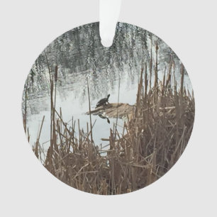 Ornamento Solstício de inverno