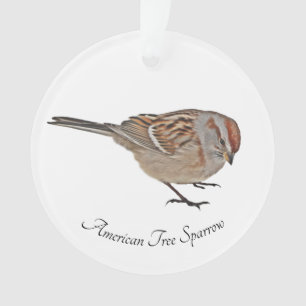 Ornamento Sparrow Árvore Americano