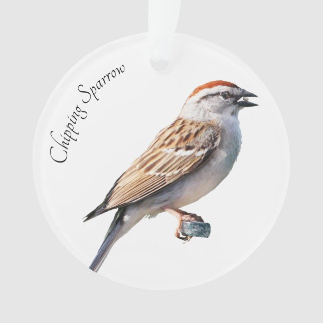 Ornamento Sparrow de chipset (Frente)