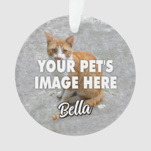 Ornamento Sua Foto do Gato