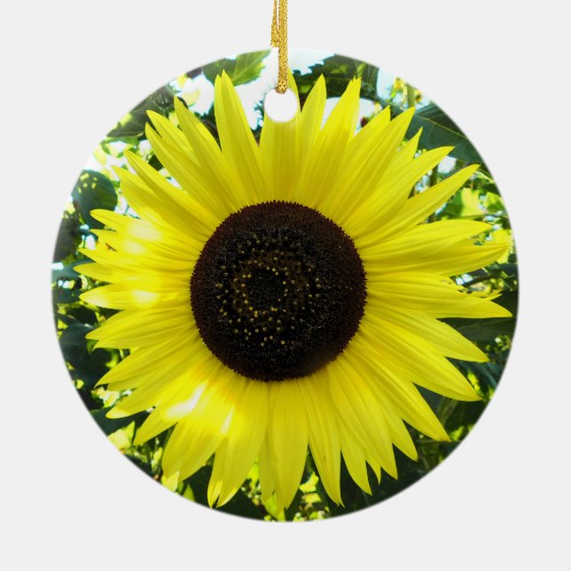Ornamento Sunny Sunflower (Traseira)