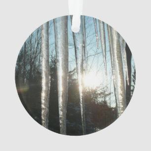 Ornamento Sunrise Através De Ícicletas Winter Nature Fotog