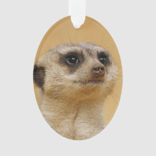 Ornamento Suricata 2014-1101