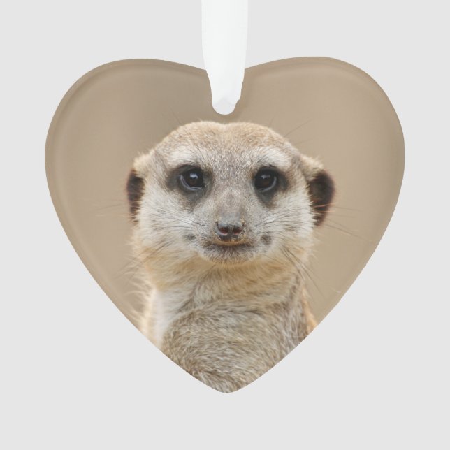 Ornamento Suricata_2015_0211 (Frente)