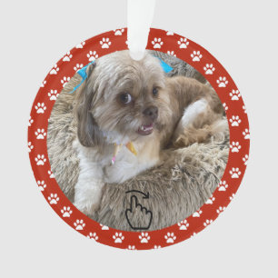 Ornamento SWIPE DIREITO - Consulte Anterior ...