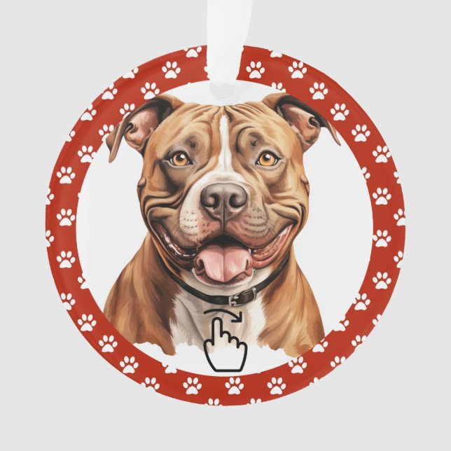 Ornamento SWIPE DIREITO Versão 2 - Ver Anterior ... Ornament (Frente)