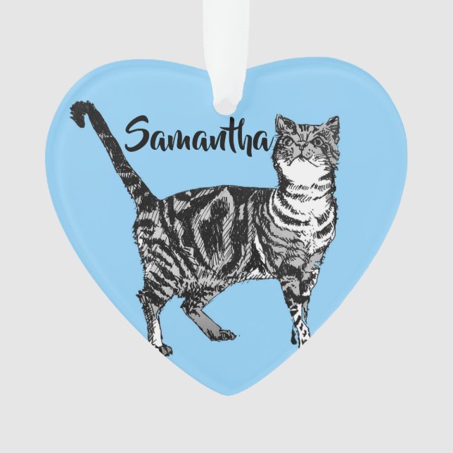 Ornamento Tabby Cat Pastel Azul Desorte de Natal Merry (Frente)