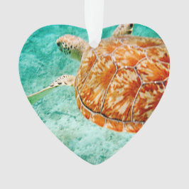 Ornamento Tartaruga marinha