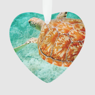 Ornamento Tartaruga marinha