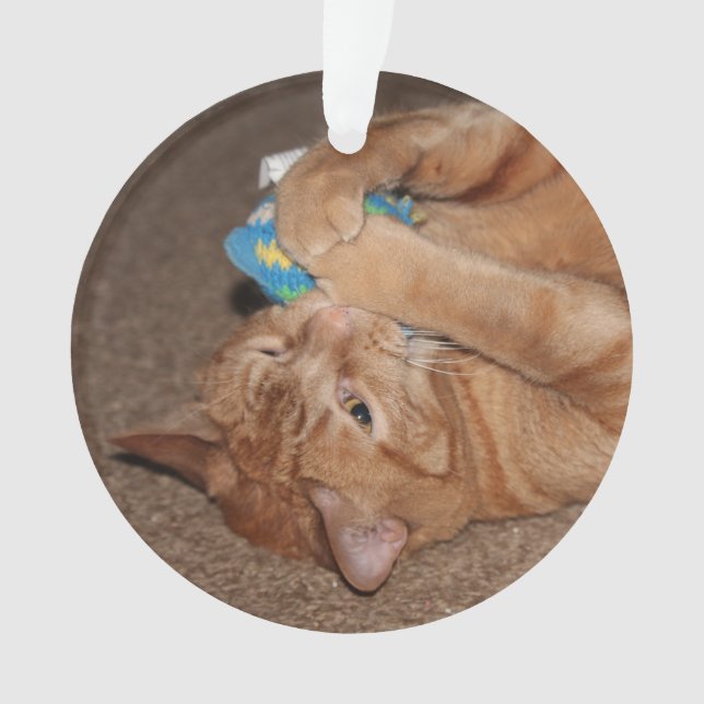 Ornamento Tater (Frente)