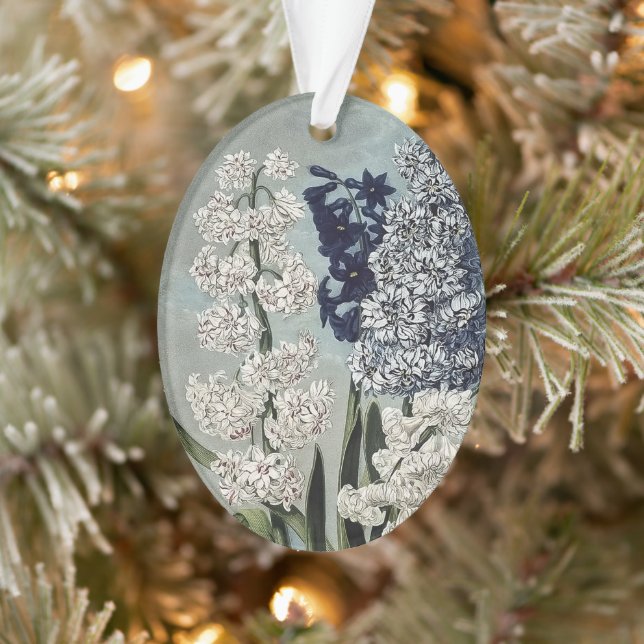 Ornamento Templo de Flora Hyacinths Flores Cerâmicas (Árvore)