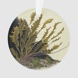 Ornamento Tidal Fronds