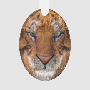 Ornamento Tigre