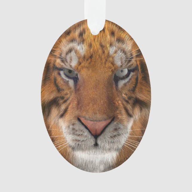 Ornamento Tigre (Frente)