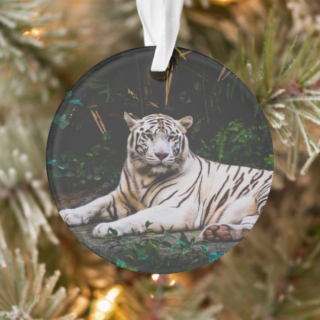 Ornamento Tigre (Árvore)