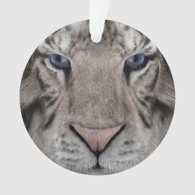 Ornamento Tigre Branco (Frente)