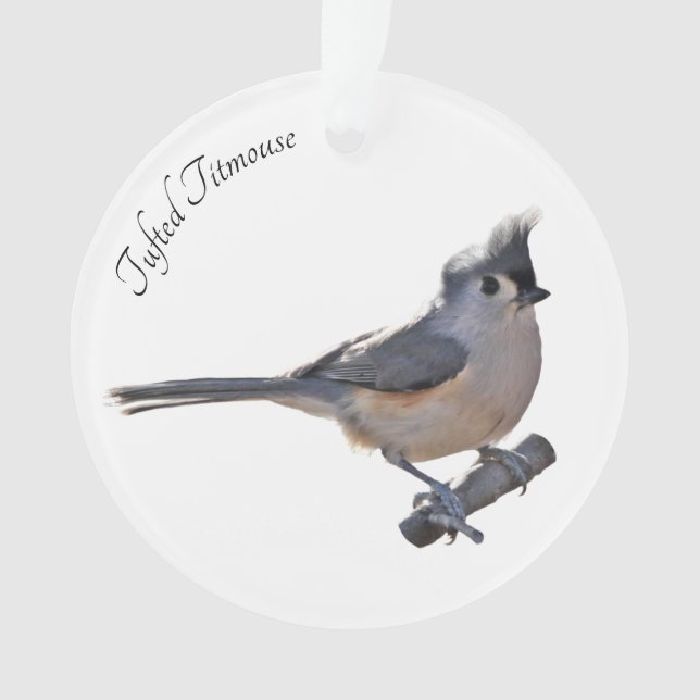 Ornamento Titmouse adornado (Frente)